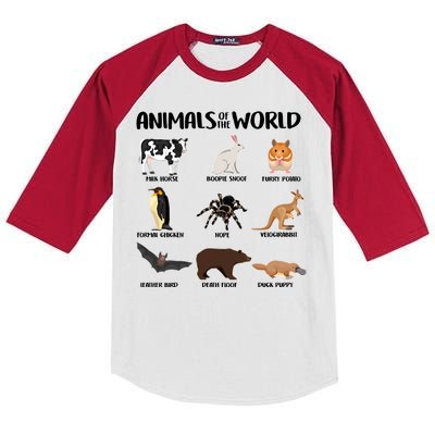 Animals Of The World Funny Names Kids Colorblock Raglan Jersey