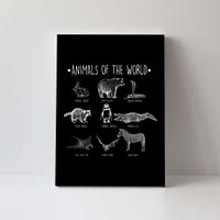 Animals Of the World Funny Wildlife Canvas