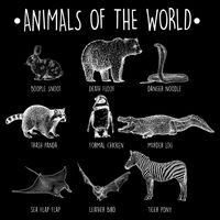 Animals Of the World Funny Wildlife Mesh Reversible Basketball Jersey Tank