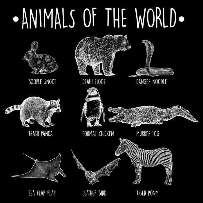Animals Of the World Funny Wildlife Mesh Reversible Basketball Jersey Tank