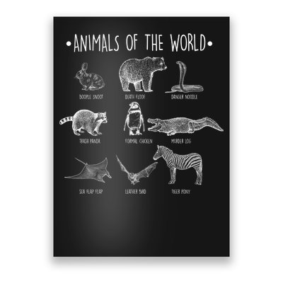 Animals Of the World Funny Wildlife Poster