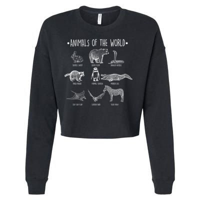Animals Of the World Funny Wildlife Cropped Pullover Crew