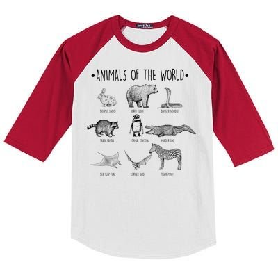 Animals Of the World Funny Wildlife Kids Colorblock Raglan Jersey