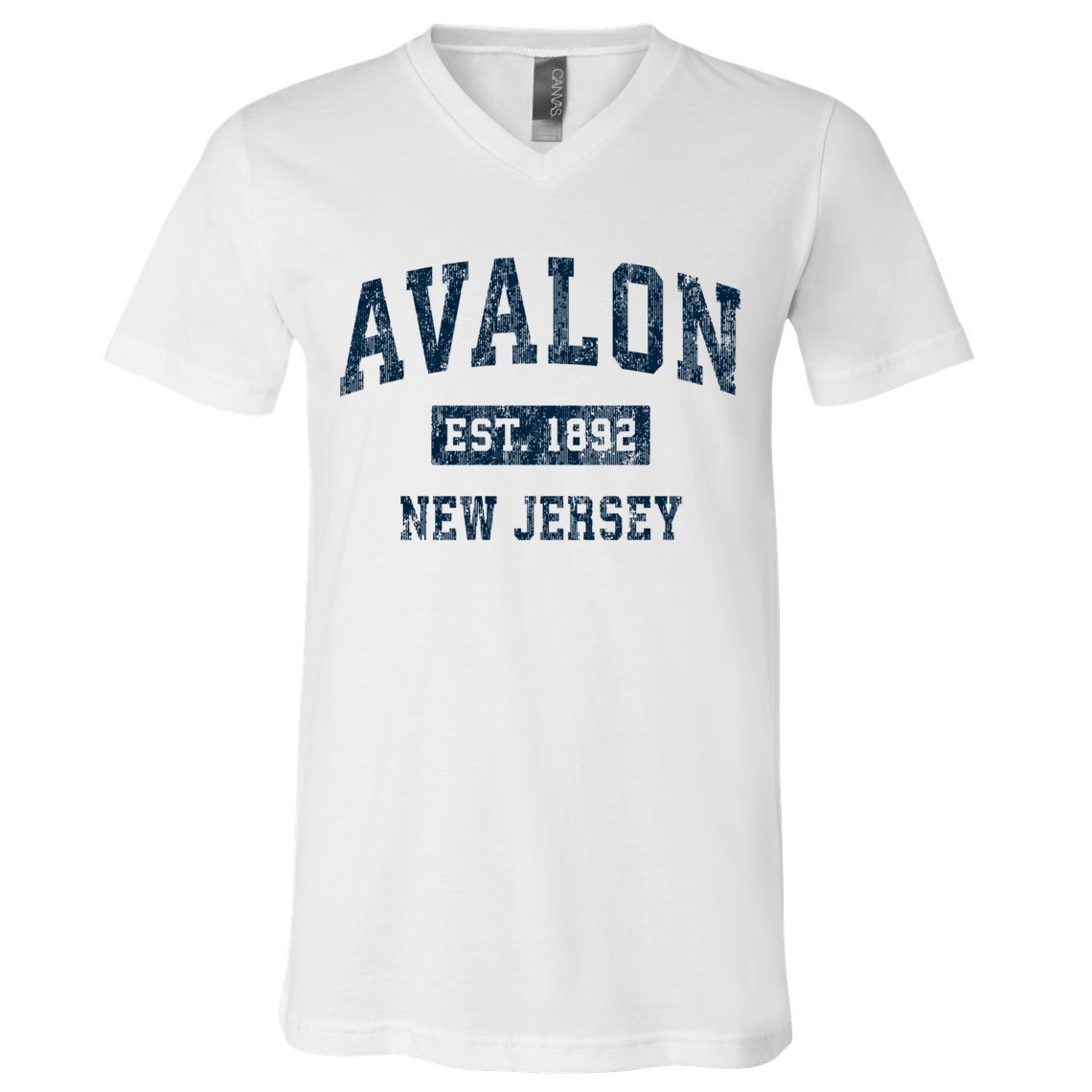 Avalon New Jersey Nj Vintage Sports V-Neck T-Shirt