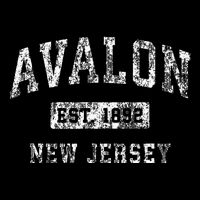 Avalon New Jersey Nj Vintage Established Sports Design T-Shirt