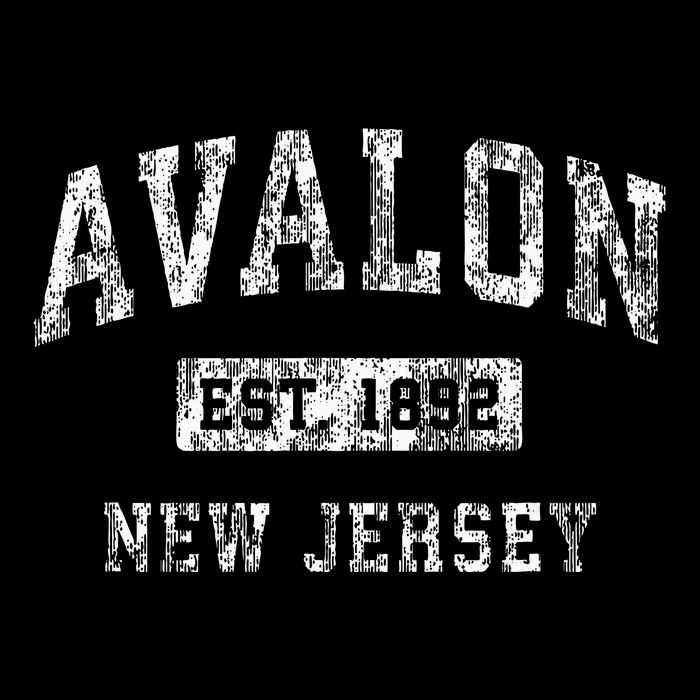 Avalon New Jersey Nj Vintage Established Sports Design T-Shirt