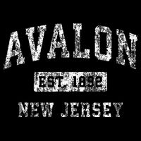 Avalon New Jersey Nj Vintage Established T-Shirt