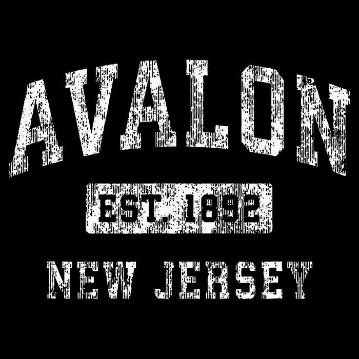 Avalon New Jersey Nj Vintage Established T-Shirt