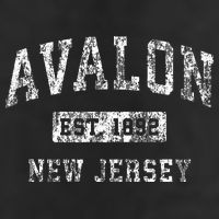 Avalon New Jersey Nj Vintage Established Beanie