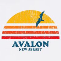 Avalon New Jersey Nj Vintage Casual Beanie
