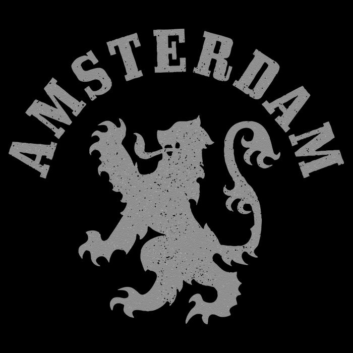 Amsterdam Netherlands Lion Dutch Holland Vintage Amsterdam Womens T-Shirt