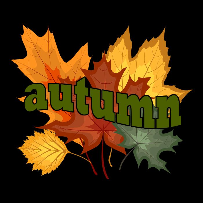 Autumn Nature Leaves Toddler Hoodie