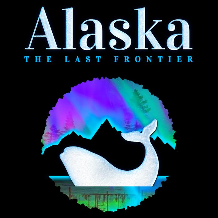 Alaska Northern Lights Orca Whale With Aurora Borealis Meaningful Gift Backpack