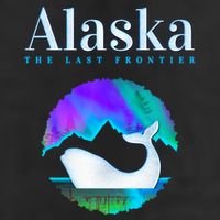 Alaska Northern Lights Orca Whale With Aurora Borealis Meaningful Gift Beanie