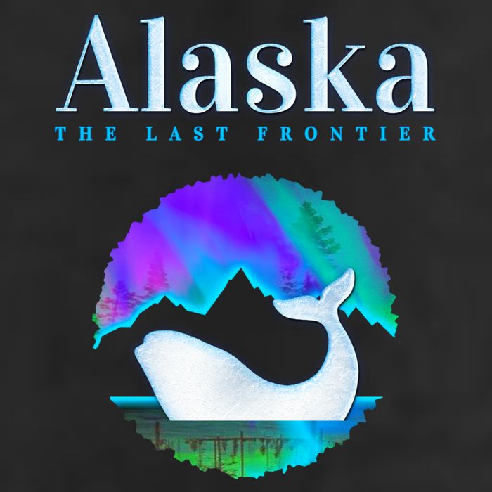 Alaska Northern Lights Orca Whale With Aurora Borealis Meaningful Gift Beanie