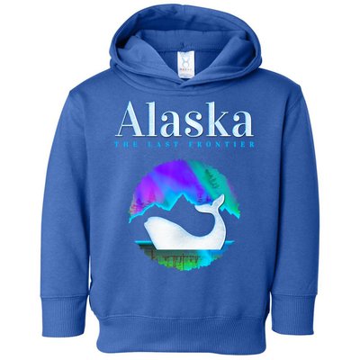 Alaska Northern Lights Orca Whale With Aurora Borealis Meaningful Gift Toddler Hoodie