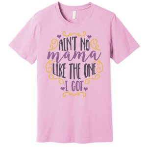 Ain't No Mama Like The One I Got Premium T-Shirt