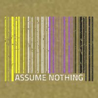 Assume Nothing Non Binary Flag Genderqueer Lgbtqia Pride Garment-Dyed Women's Muscle Tee