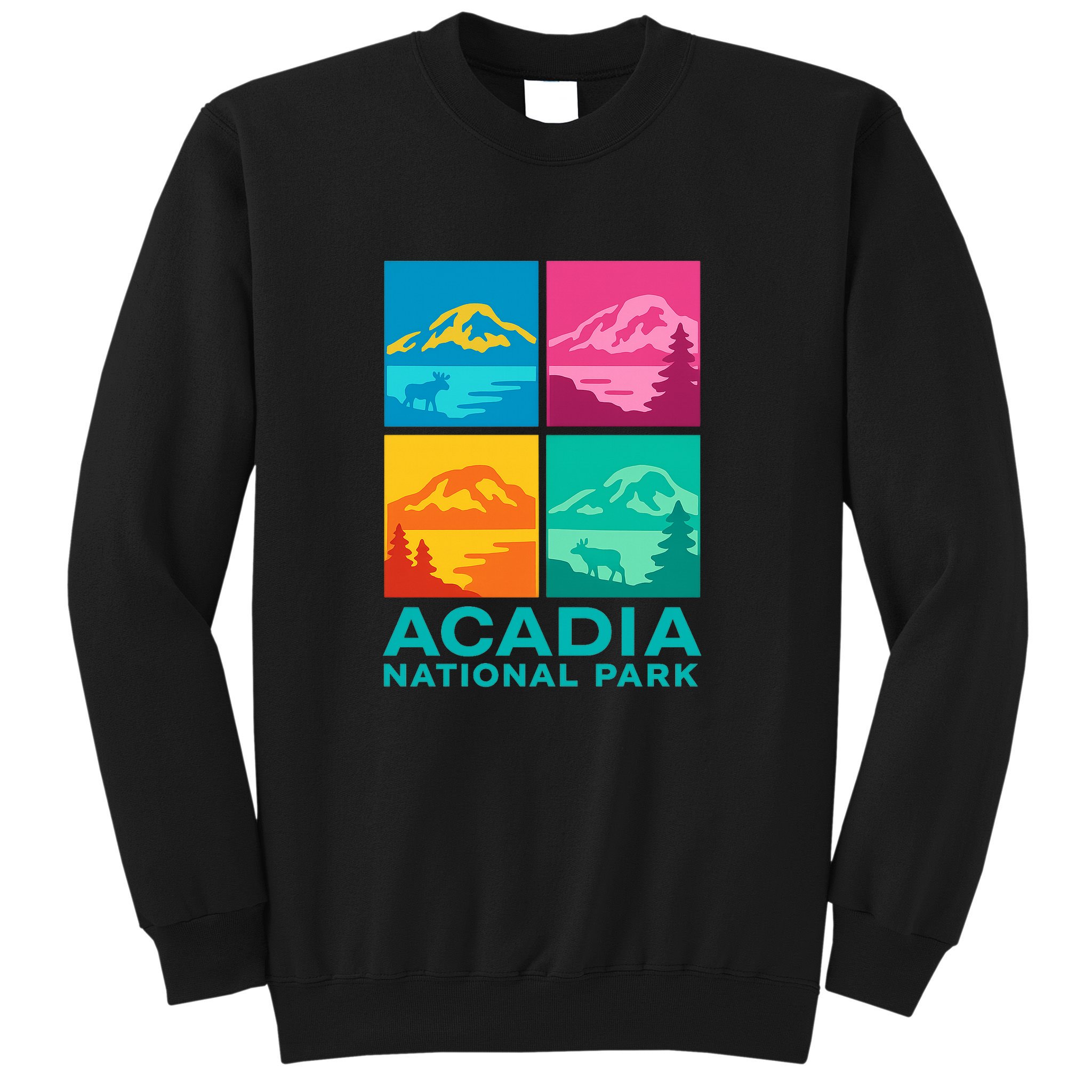 Acadia National Park Warhol Style Sweatshirt