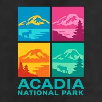 Acadia National Park Warhol Style Hat