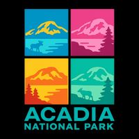 Acadia National Park Warhol Style Visor
