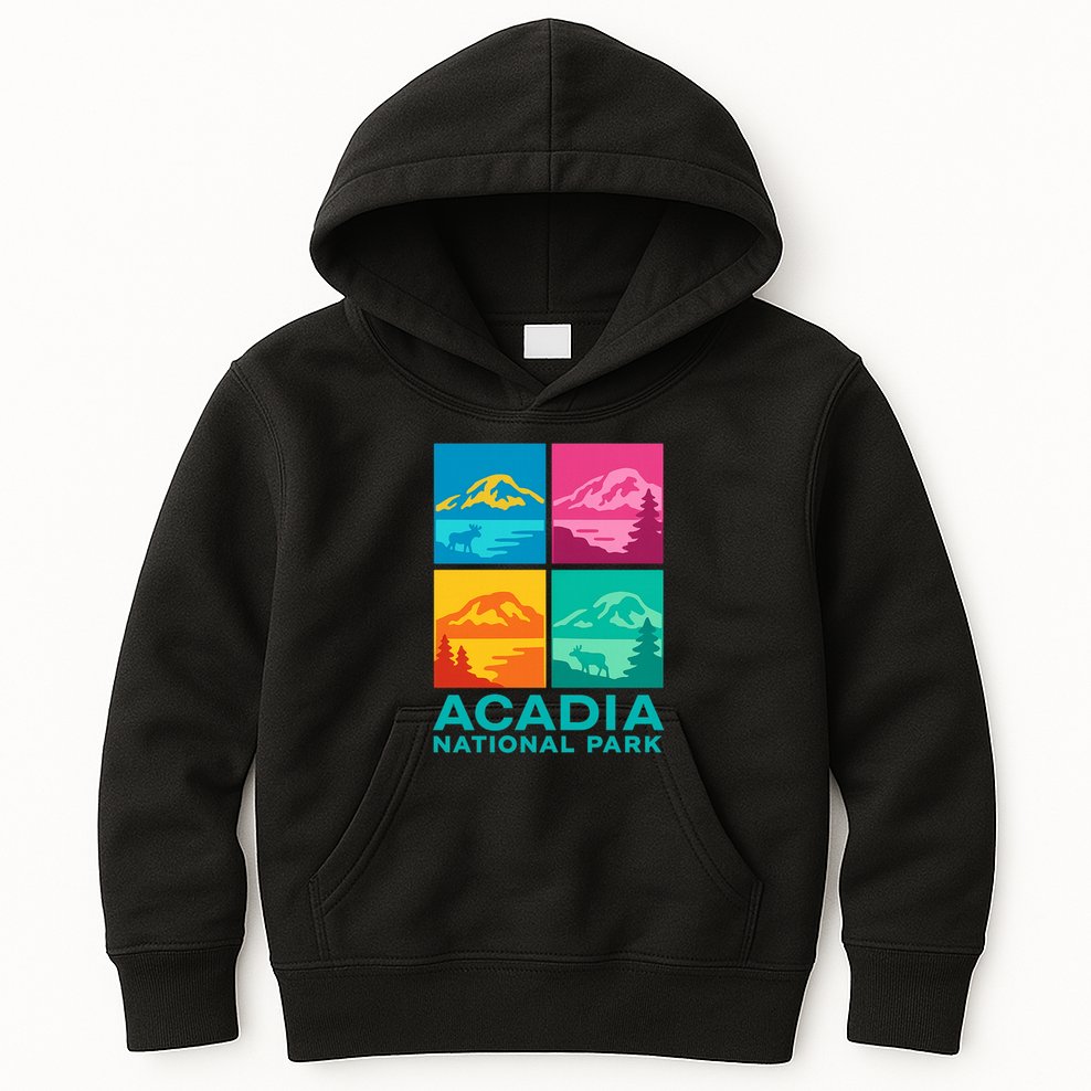 Acadia National Park Warhol Style Kids Hoodie