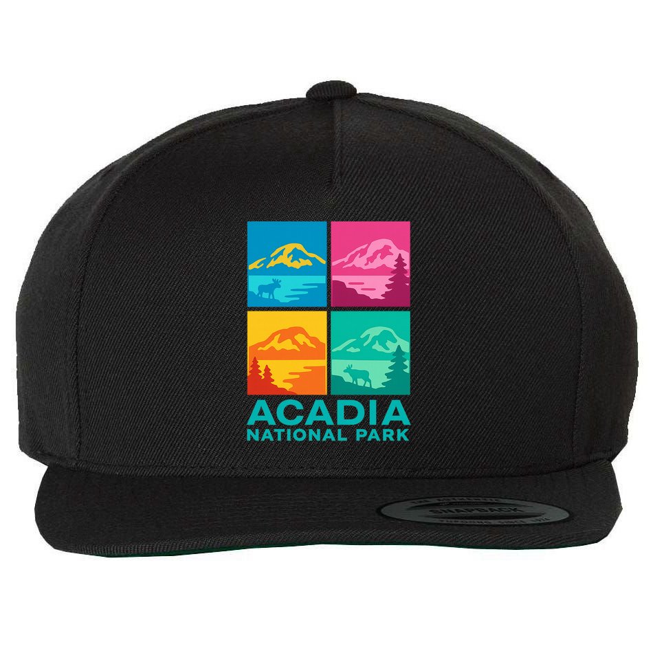 Acadia National Park Warhol Style Wool Snapback Cap