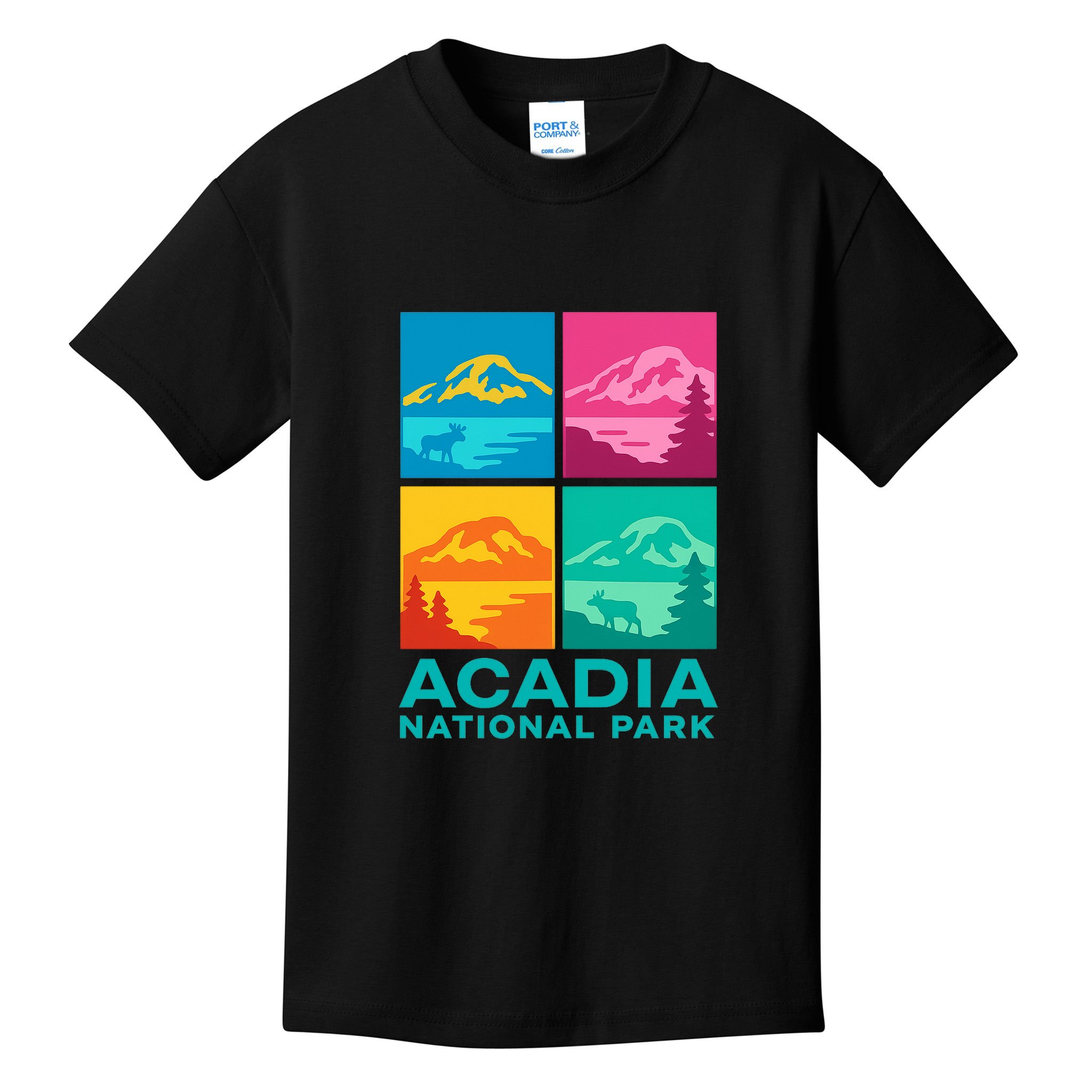 Acadia National Park Warhol Style Kids T-Shirt
