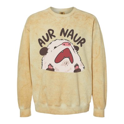 Aur Naur Possum Colorblast Crewneck Sweatshirt