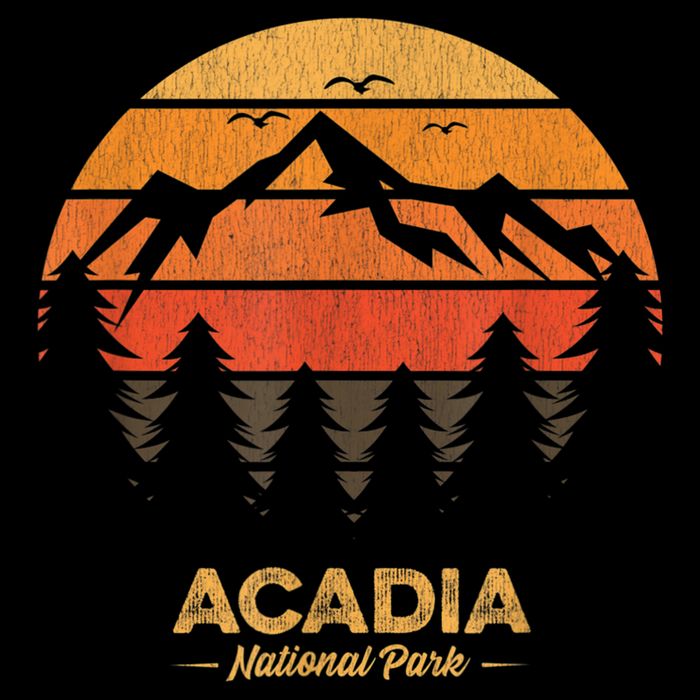Acadia National Park Retro Vintage Souvenir Button