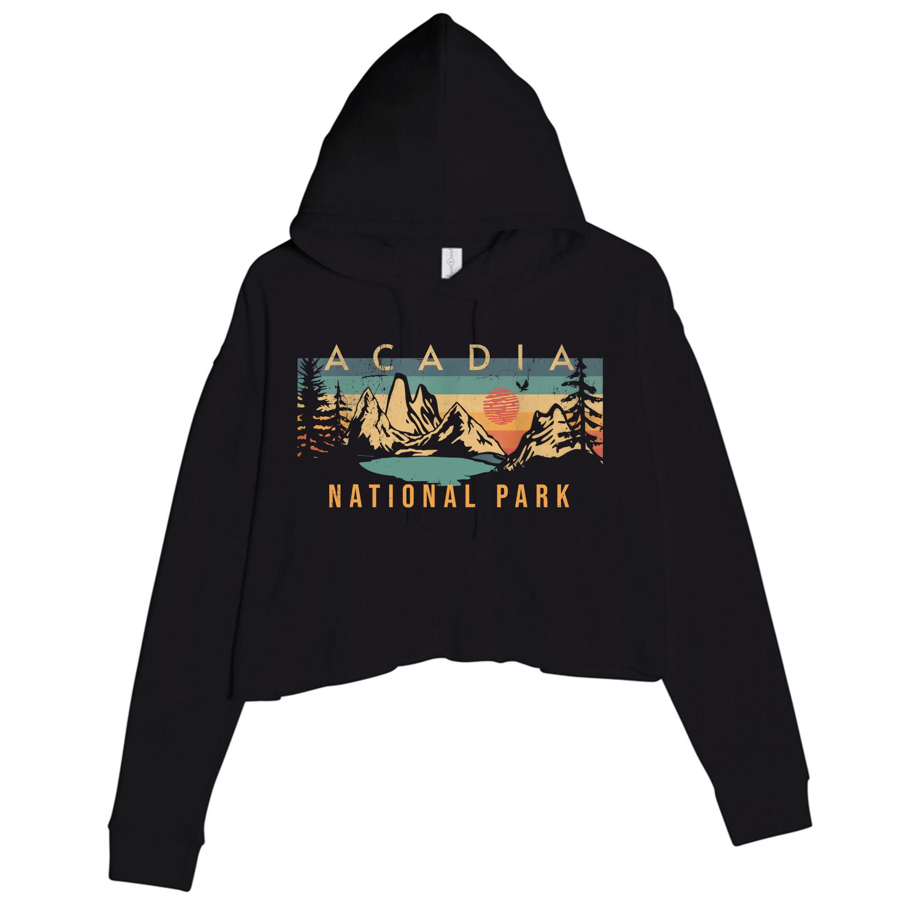 Acadia National Park Vintage Retro Crop Fleece Hoodie