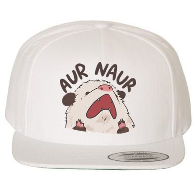 Aur Naur Possum Cute Funny Sarcastic Meme Wool Snapback Cap