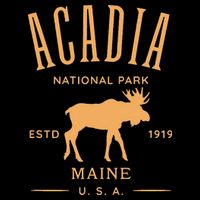 Acadia National Park Maine USA Design Souvenir Flat Bill Trucker Hat