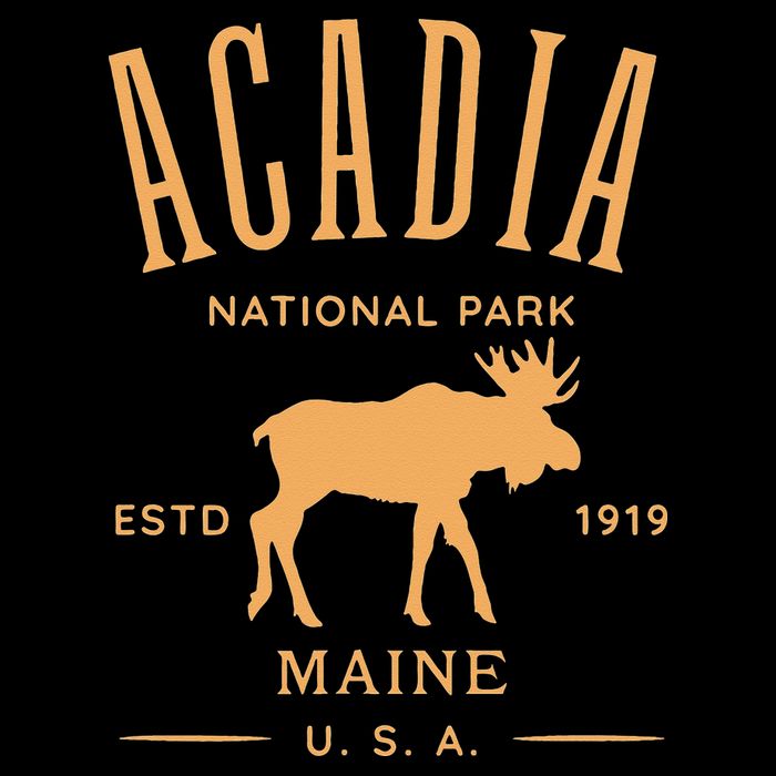 Acadia National Park Maine USA Design Souvenir Flat Bill Trucker Hat