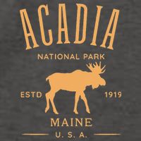 Acadia National Park Maine USA Design Souvenir Vector Backpack