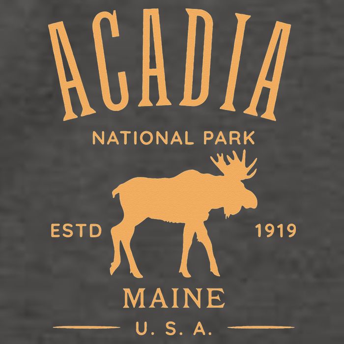 Acadia National Park Maine USA Design Souvenir Vector Backpack