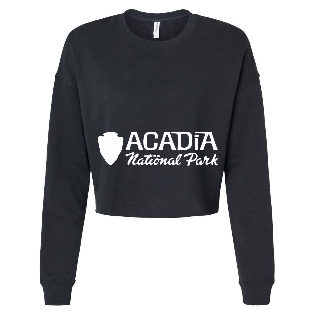 Acadia National Park Retro Arrowhead Wordmark Women's Crop Top Tee