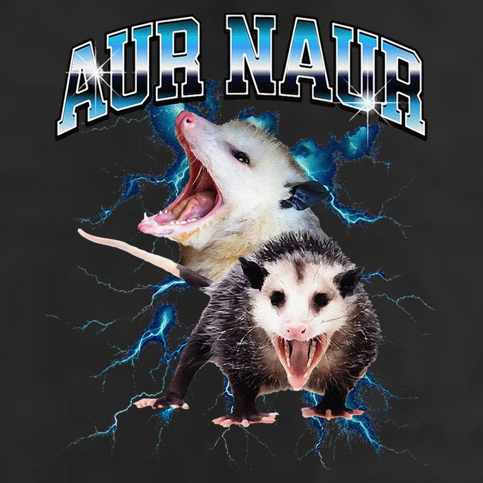 Aur Naur Possum Cute Funny Sarcastic Meme 7 Panel Mesh Trucker Snapback Hat