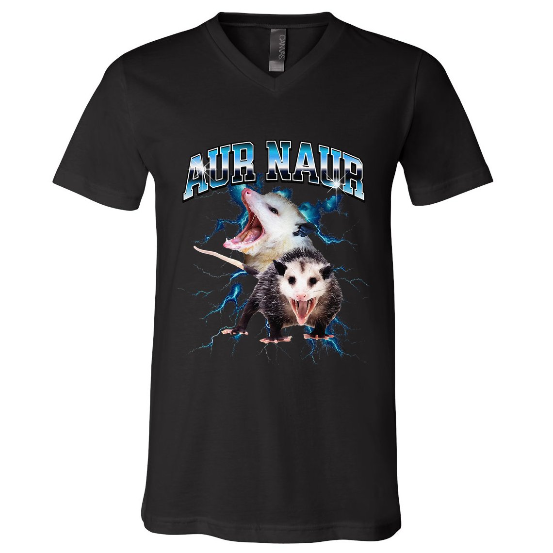 Aur Naur Possum Cute Funny Sarcastic Meme V-Neck T-Shirt