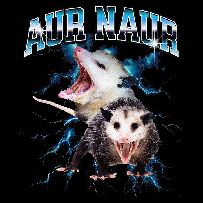 Aur Naur Possum Cute Funny Sarcastic Meme Premium T-Shirt