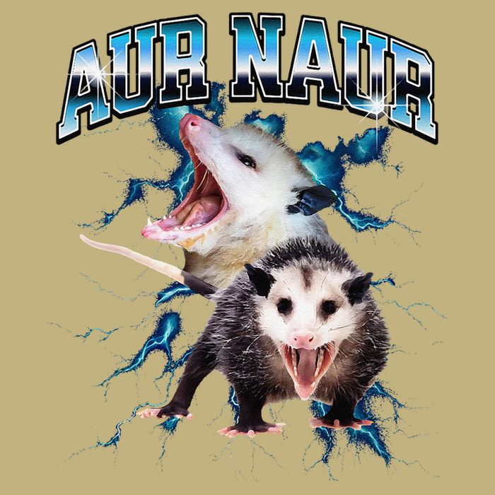 Aur Naur Possum Cute Funny Sarcastic Meme Cooling Performance Crew T-Shirt
