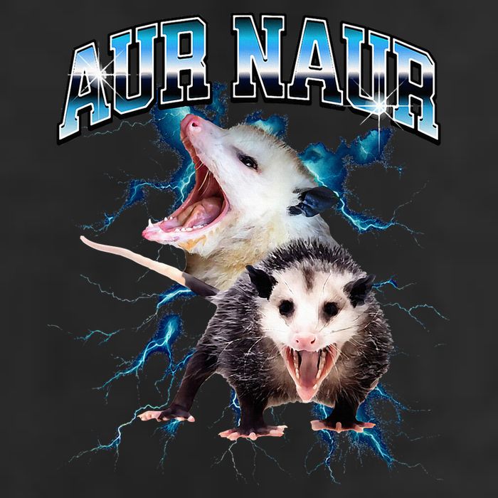 Aur Naur Possum Cute Funny Sarcastic Meme 7 Panel Mesh Trucker Snapback Hat