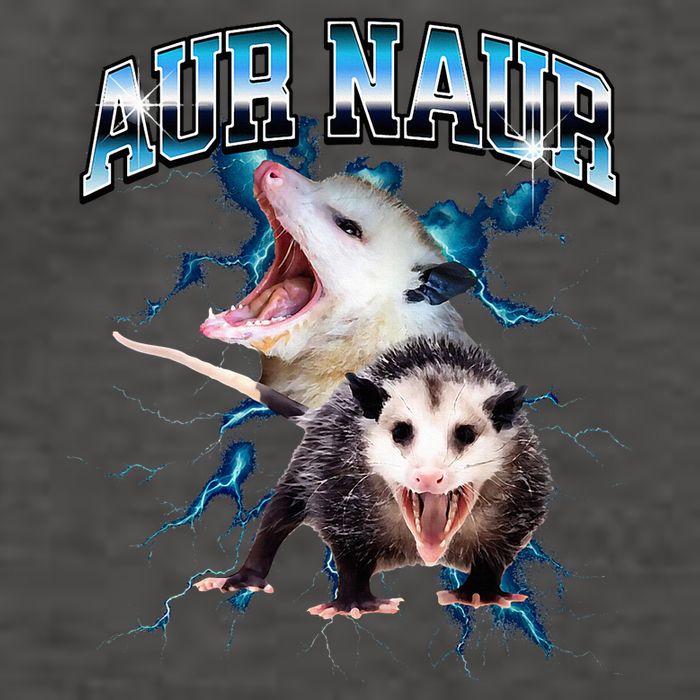 Aur Naur Possum Cute Funny Sarcastic Meme Vector Backpack