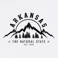 Arkansas Natural State America Usa Souvenir Toddler T-Shirt