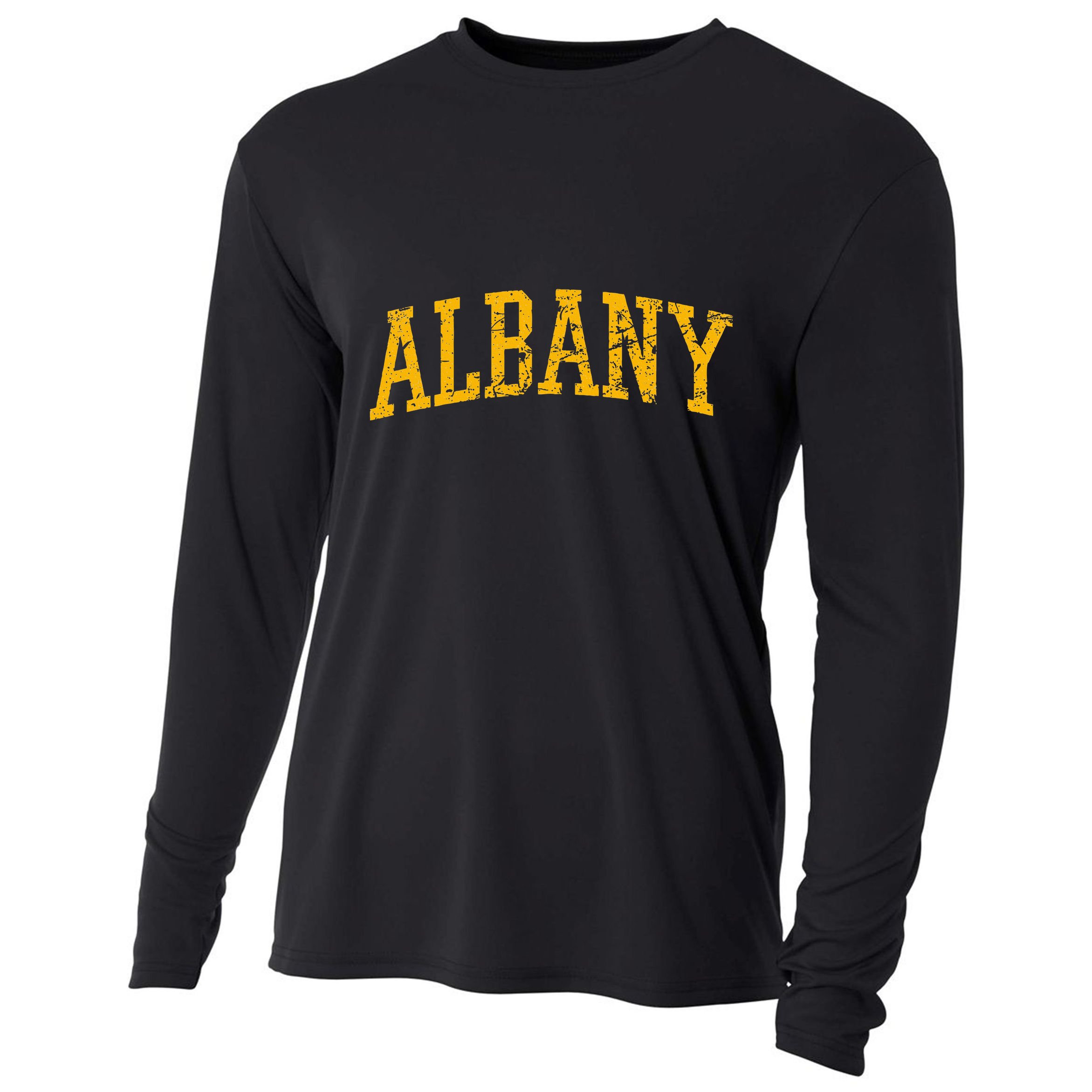 Albany Ny Throwback Cooling Performance Long Sleeve Crew