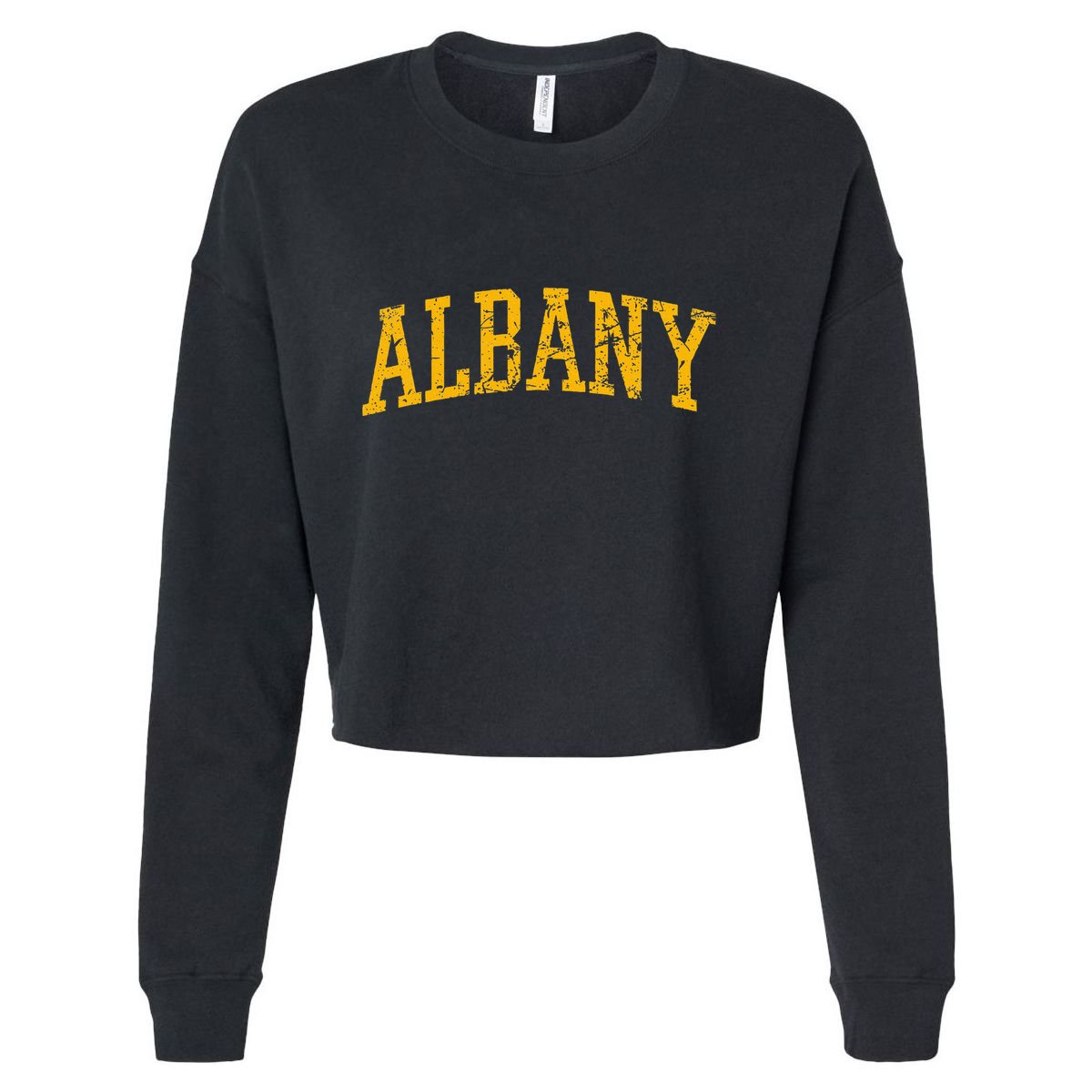 Albany Ny Throwback Cropped Pullover Crew