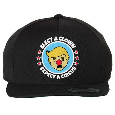 Anti Trump Elect A Clown Expect A Circus Wool Snapback Cap