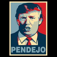 Anti Trump Pendejo Poster Not My President Wool Snapback Cap