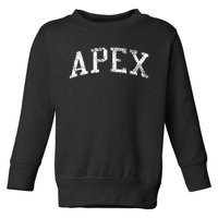 Apex Nc Vintage Athletic Sports Js02 Toddler Sweatshirt