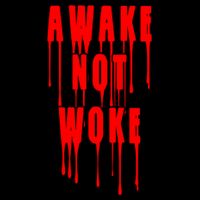 Awake Not Woke Patriotic American Pride Bloody Flatbill Hat